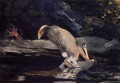 Fallen Deer Realism painter Winslow Homer